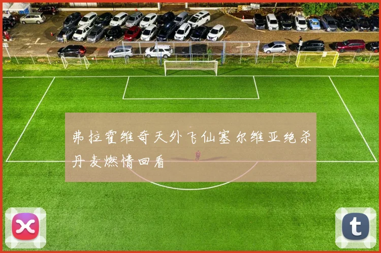 弗拉霍维奇天外飞仙塞尔维亚绝杀丹麦燃情回看