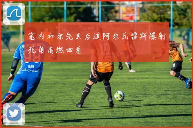 塞内加尔先丢后追阿尔瓦雷斯爆射死角高燃回看
