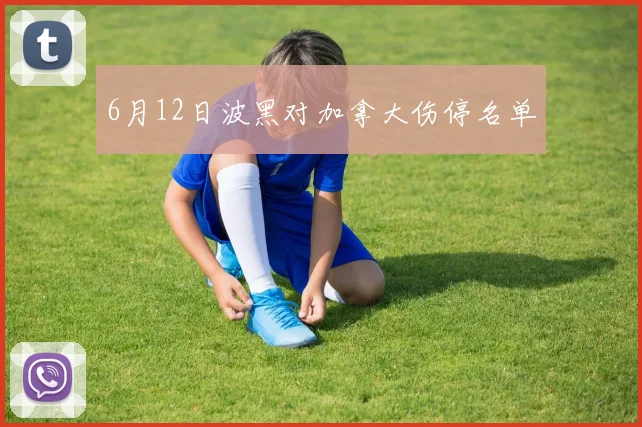 6月12日波黑对加拿大伤停名单