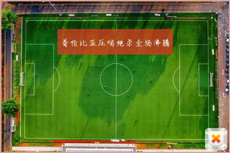 哥伦比亚压哨绝杀全场沸腾