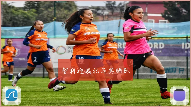 智利迎战北马其顿队