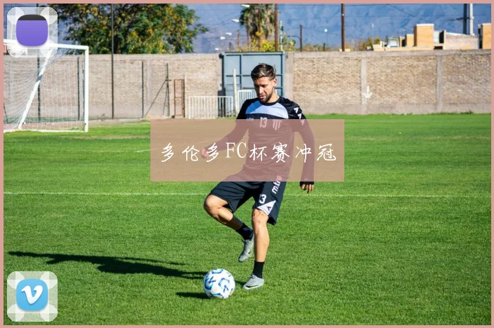 多伦多FC杯赛冲冠