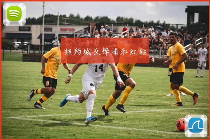 纽约城交锋浦和红钻