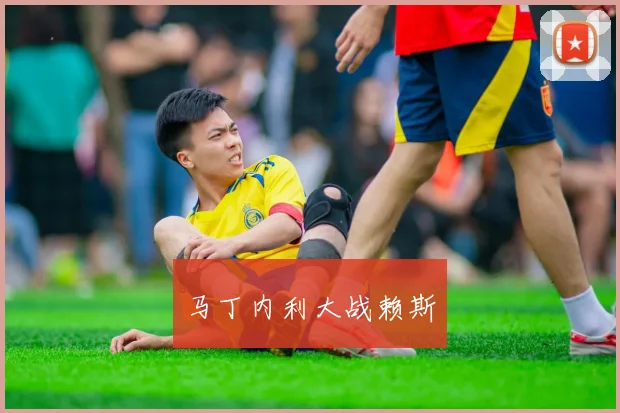 马丁内利大战赖斯