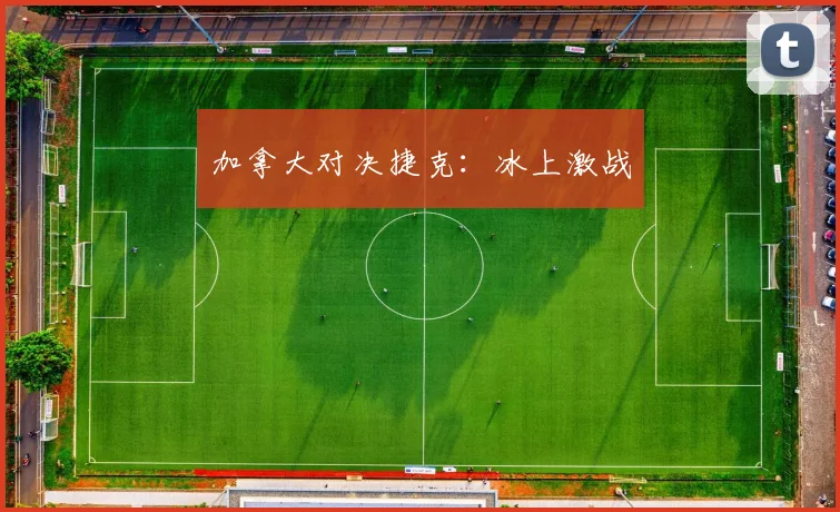 加拿大对决捷克：冰上激战
