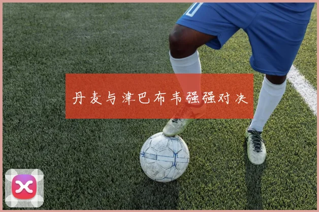 丹麦与津巴布韦强强对决