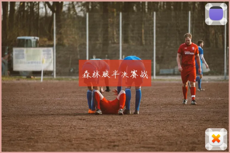 森林狼半决赛战
