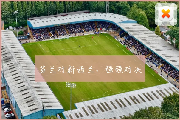 芬兰对新西兰，强强对决