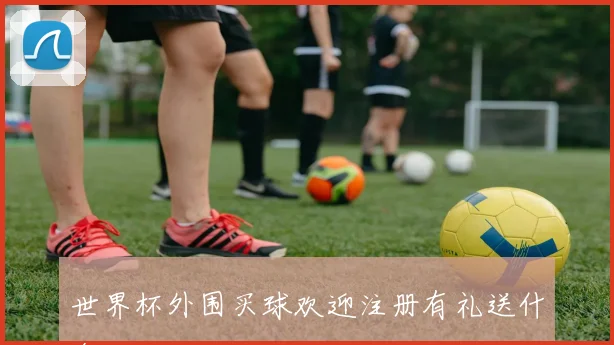 世界杯外围买球欢迎注册有礼送什么