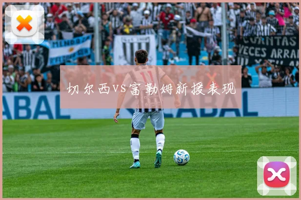 切尔西vs富勒姆新援表现