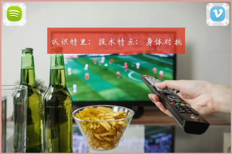 认识特里：技术特点：身体对抗