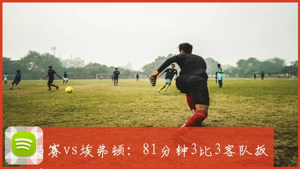 马赛vs埃弗顿：81分钟3比3客队扳平