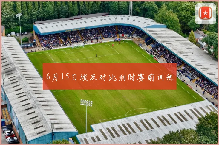 6月15日埃及对比利时赛前训练